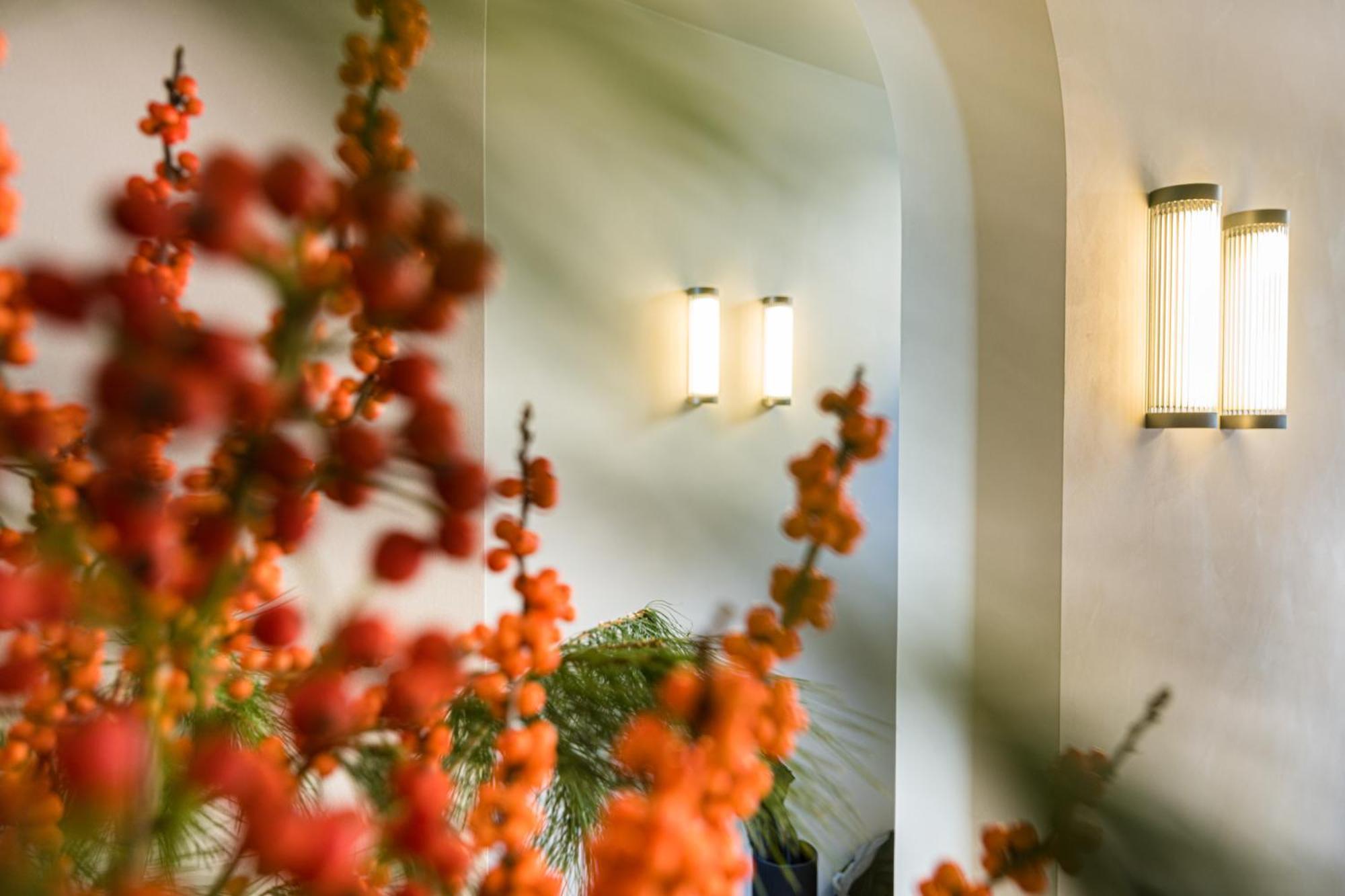 Istoire Boutique Bed and Breakfast Brugge Eksteriør billede